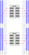 AMD-EPYC-Rome-DIMM-Performance-Dual-08-DIMMs.png