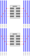AMD-EPYC-Rome-DIMM-Performance-Dual-16-DIMMs.png